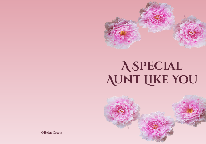 A Special Aunt II