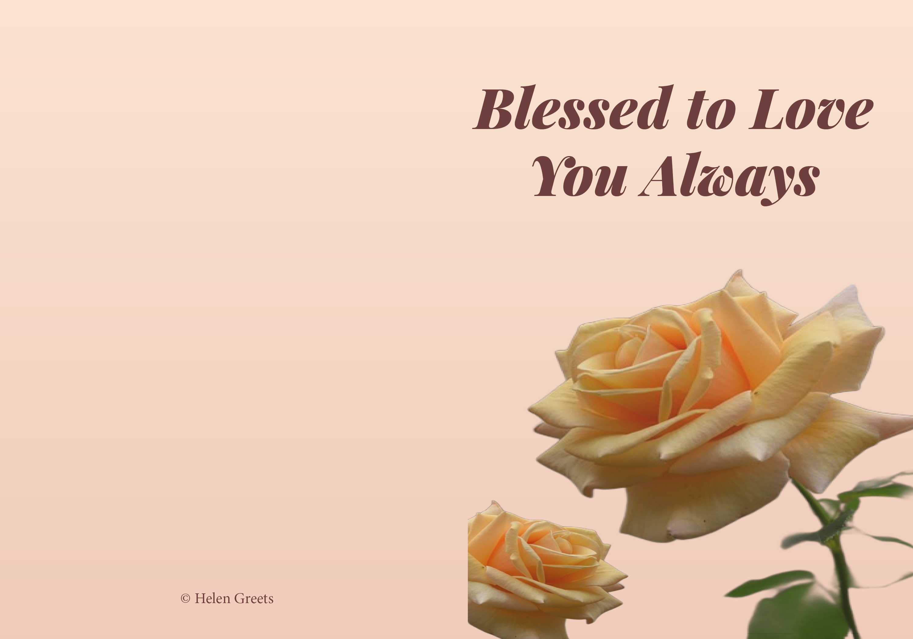 Happy Anniversary, My Love II